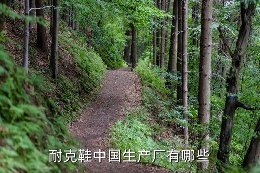 耐克鞋中國生產(chǎn)廠有哪些
