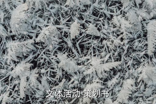 文體活動 策劃書