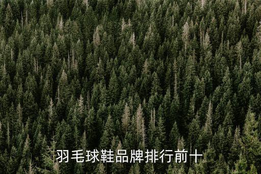 北京體育用品排行榜,體育用品十大名牌排行榜