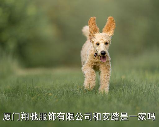 廈門翔馳服飾有限公司和安踏是一家嗎
