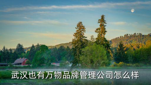 武漢也有萬(wàn)物品牌管理公司怎么樣