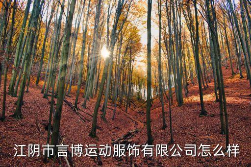  江陰市言博運(yùn)動(dòng)服飾有限公司怎么樣