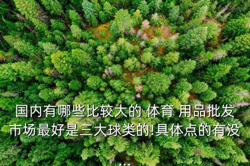 國(guó)內(nèi)有哪些比較大的 體育 用品批發(fā)市場(chǎng)最好是三大球類的!具體點(diǎn)的有沒...