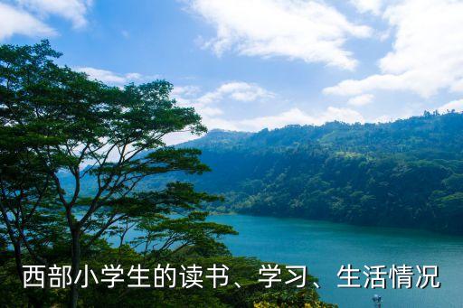西部小學(xué)生的讀書(shū)、學(xué)習(xí)、生活情況