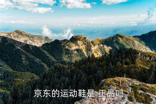 京東的運(yùn)動鞋是 正品嗎