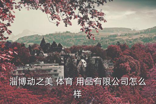 淄博動(dòng)之美 體育 用品有限公司怎么樣