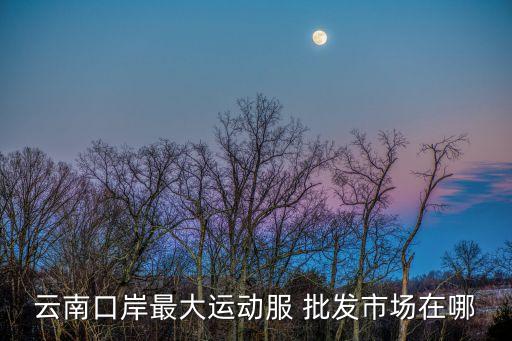 云南口岸最大運(yùn)動(dòng)服 批發(fā)市場(chǎng)在哪