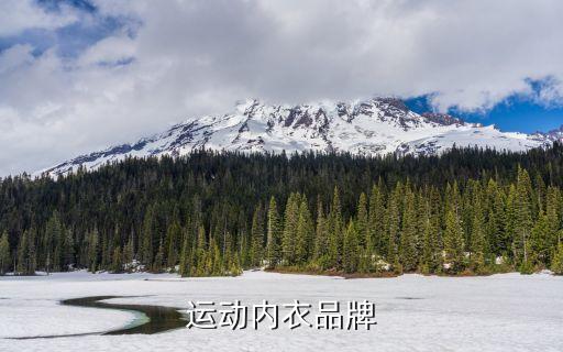 運動內(nèi)衣品牌