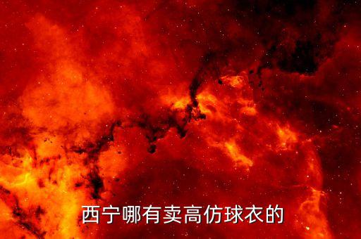  西寧哪有賣高仿球衣的