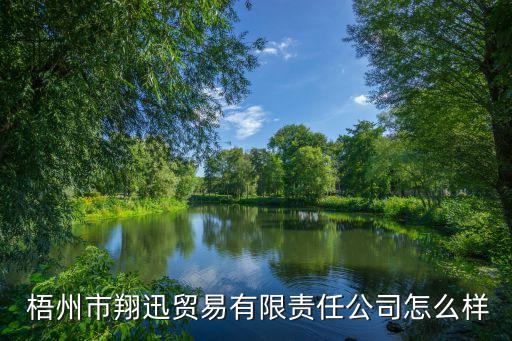  梧州市翔迅貿(mào)易有限責任公司怎么樣