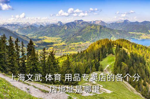 上海文武 體育 用品專賣店的各個(gè)分店地址是哪里