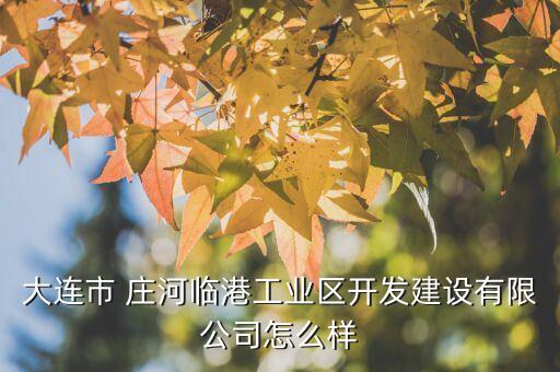 大連市 莊河臨港工業(yè)區(qū)開(kāi)發(fā)建設(shè)有限公司怎么樣