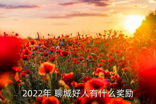 2022年 聊城好人有什么獎(jiǎng)勵(lì)