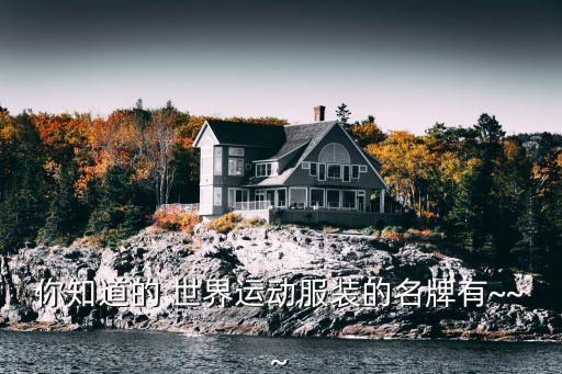 你知道的 世界運(yùn)動(dòng)服裝的名牌有~~~