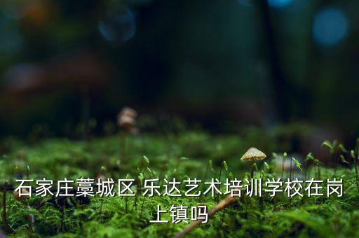 石家莊藁城區(qū) 樂達(dá)藝術(shù)培訓(xùn)學(xué)校在崗上鎮(zhèn)嗎