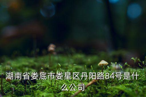 湖南省婁底市婁星區(qū)丹陽路84號(hào)是什么公司