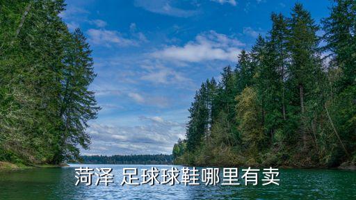足球體育用品廠,張老師購買體育用品,如果買4個足球