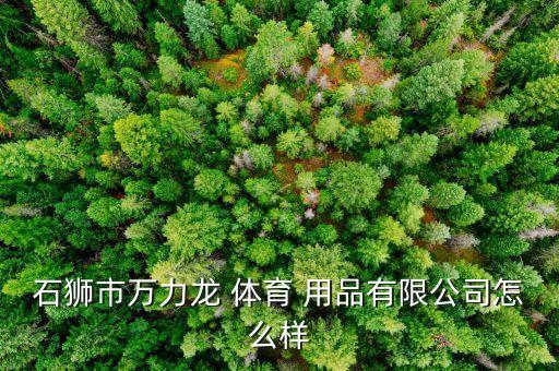 石獅市萬力龍 體育 用品有限公司怎么樣