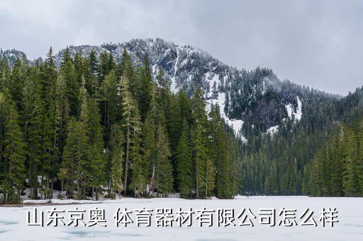 山東京奧 體育器材有限公司怎么樣