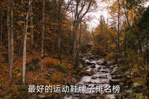 最好的運(yùn)動(dòng)鞋牌子排名榜