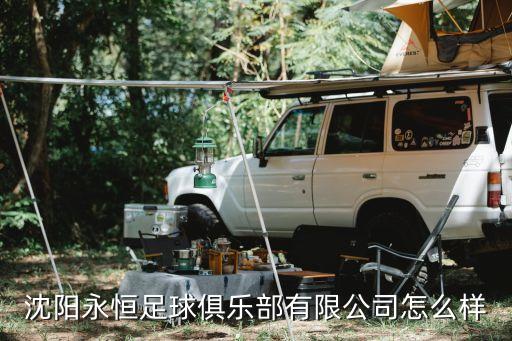 沈陽永恒足球俱樂部有限公司怎么樣