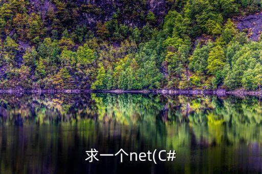 求一個net(C#