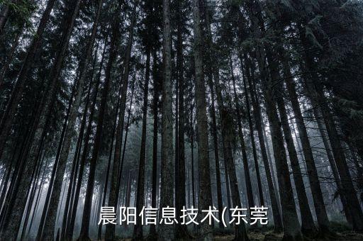  晨陽信息技術(東莞