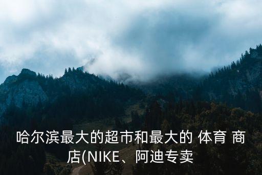 哈爾濱最大的超市和最大的 體育 商店(NIKE、阿迪專賣