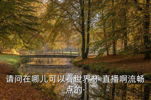請(qǐng)問在哪兒可以看世界杯 直播啊流暢點(diǎn)的·