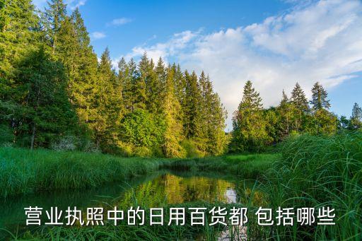 營業(yè)執(zhí)照中的日用百貨都 包括哪些