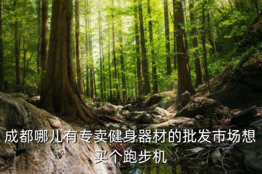 成都哪兒有專賣健身器材的批發(fā)市場想買個跑步機