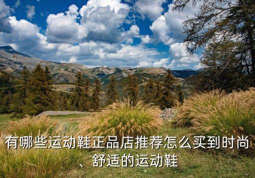 有哪些運(yùn)動(dòng)鞋正品店推薦怎么買(mǎi)到時(shí)尚、舒適的運(yùn)動(dòng)鞋
