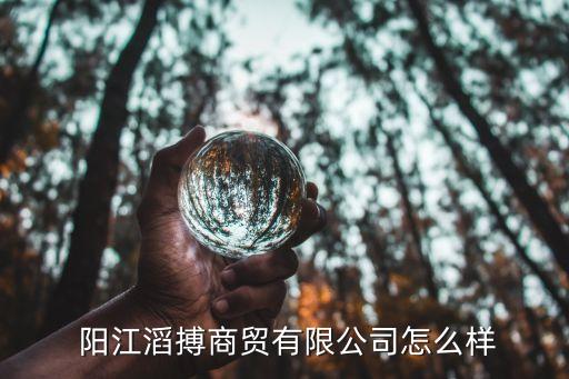  陽(yáng)江滔搏商貿(mào)有限公司怎么樣