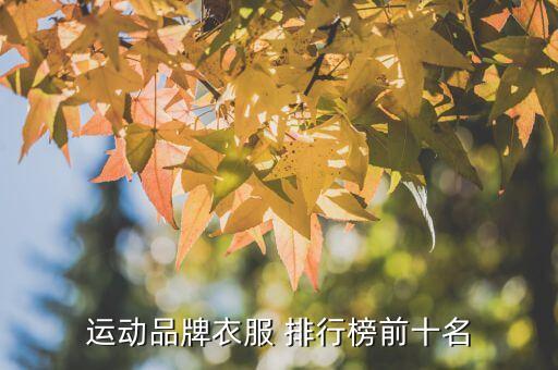 運動品牌衣服 排行榜前十名