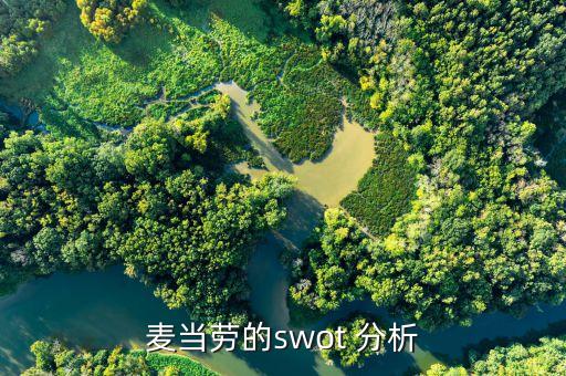 麥當勞的swot 分析