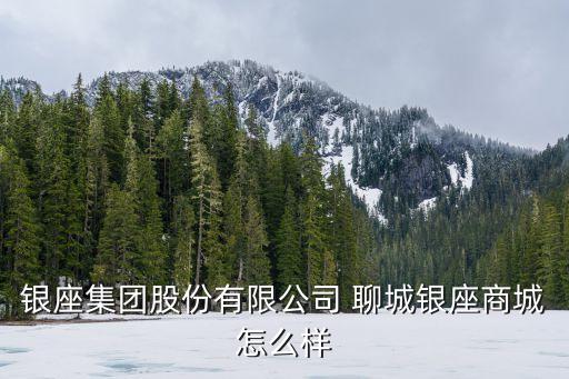 銀座集團股份有限公司 聊城銀座商城怎么樣