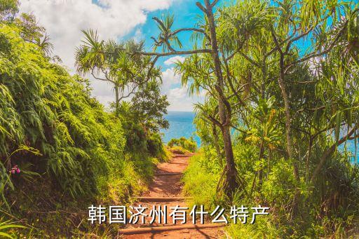 韓國濟州有什么特產