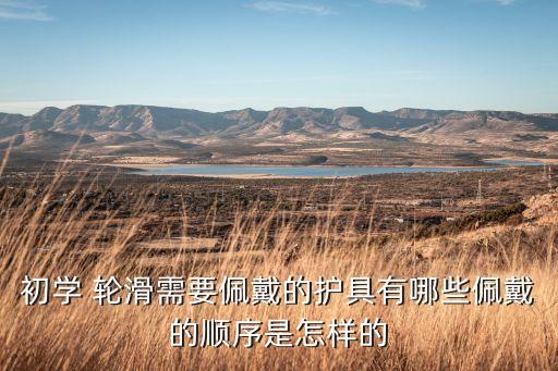 初學 輪滑需要佩戴的護具有哪些佩戴的順序是怎樣的