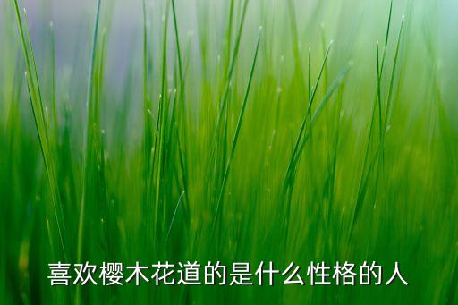 喜歡櫻木花道的是什么性格的人