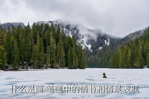 什么是簡(jiǎn) 筆畫中的情節(jié)和情景表現(xiàn)