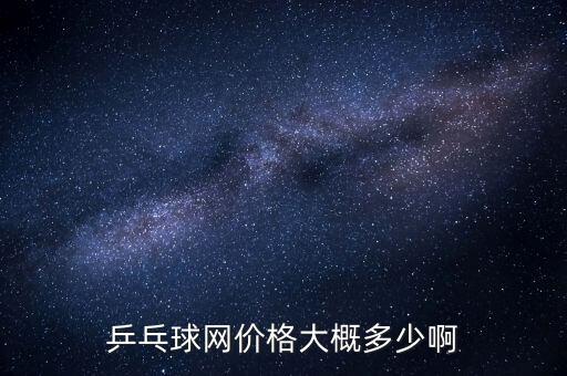 乒乓球網價格大概多少啊