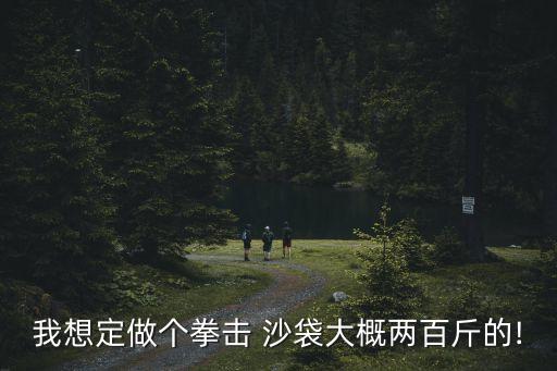 我想定做個拳擊 沙袋大概兩百斤的!