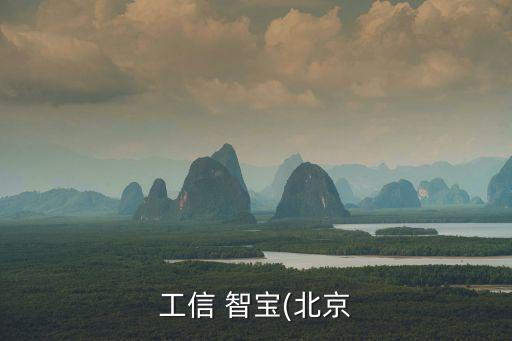 工信 智寶(北京