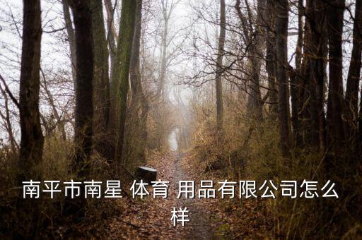 南平市南星 體育 用品有限公司怎么樣