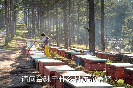 請問臺球干什么材質(zhì)的最好
