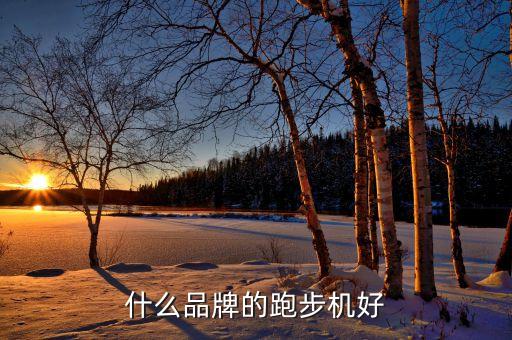 什么品牌的跑步機好