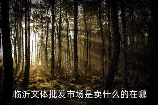  臨沂文體批發(fā)市場是賣什么的在哪