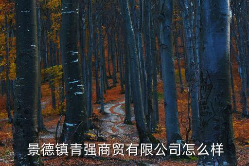  景德鎮(zhèn)青強商貿(mào)有限公司怎么樣