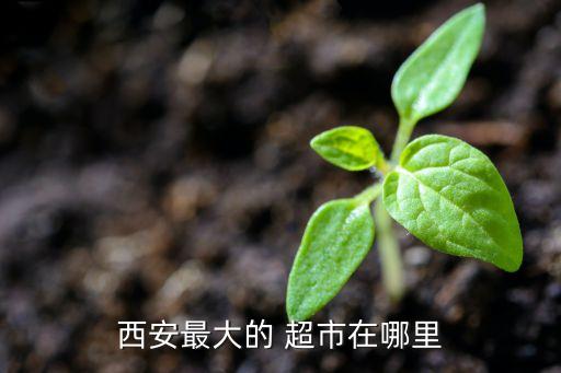 西安最大的 超市在哪里