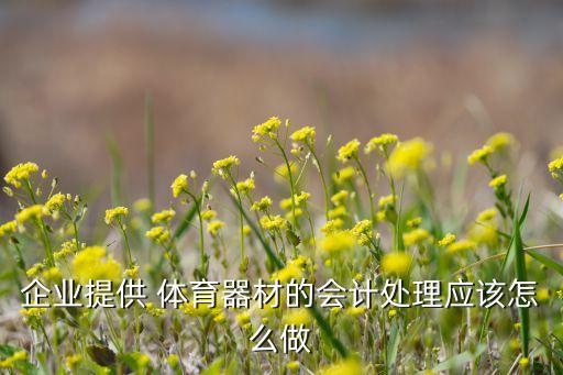 企業(yè)提供 體育器材的會計處理應(yīng)該怎么做